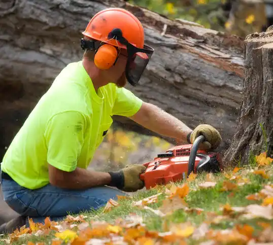 tree services Lake Waccamaw